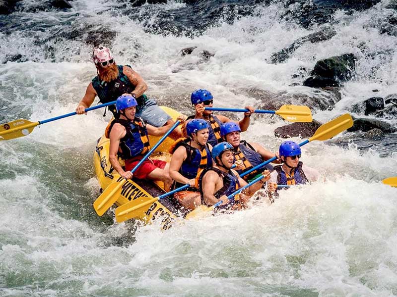 Image Alternative text